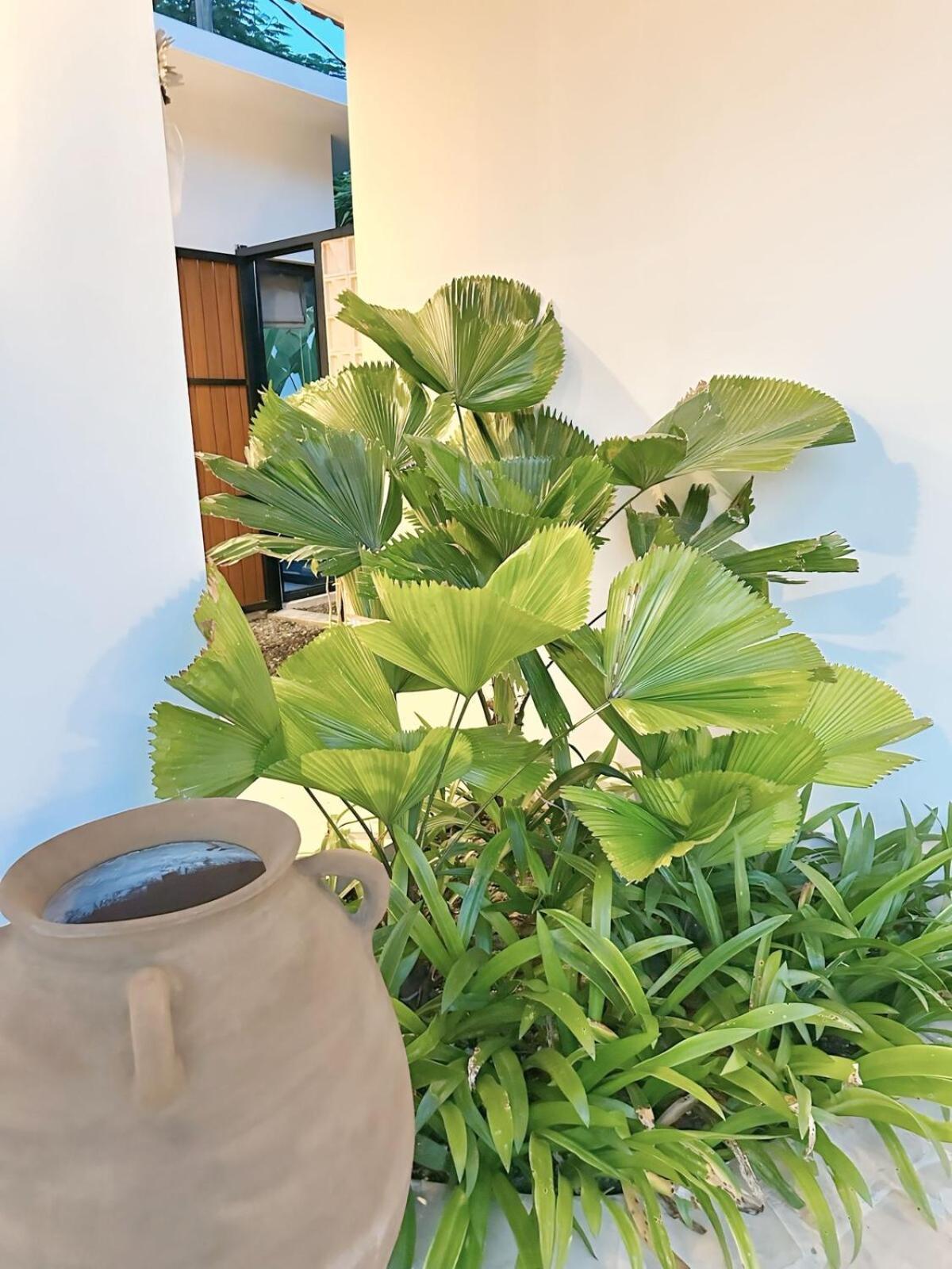 Amerta Villa Seminyak Extérieur photo